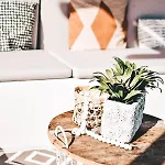 לינה וארוחת בוקר Casa-simplicity Gelder Zetten Lda Gracieira