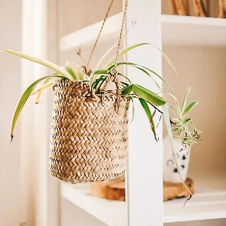 Bed & Breakfast Casa-simplicity Gelder Zetten Lda 3*