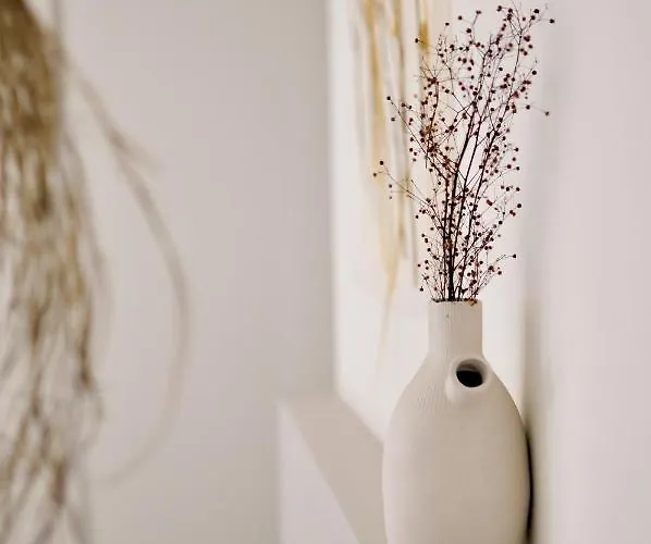 Casa-simplicity Gelder Zetten Lda Gracieira