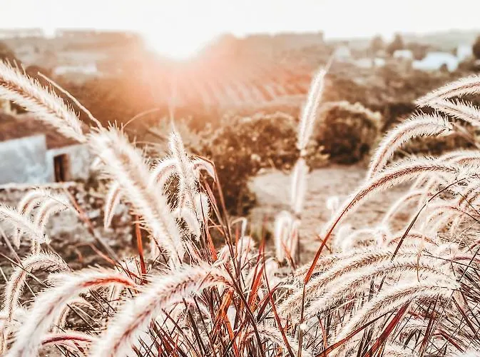 Casa-simplicity Gelder Zetten Lda Bed and breakfast Gracieira