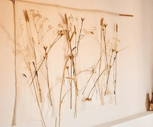 Casa-simplicity Gelder Zetten Lda Bed and breakfast 3*